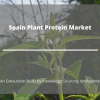 Photo for Comprehensive Report on Spain Plant Protein Market