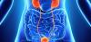 Photo for Global Gastrointestinal (GI) Devices Market 2020 | Manufacturers, Regions, Type And Application, Forecast To 2025
