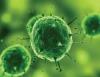 Photo for Specialty Biocides Market 2020: Industry Growth, Trends and Research Report, To 2025