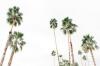 Photo for 20 Real Estate Trends In 2020