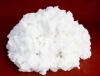 Photo for Specialty Pulp Market 2020: Industry Growth, Trends and Research Report, To 2025