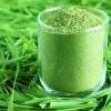 Photo for Wheat Grass Powder Market 2020: Industry Growth, Trends and Research Report, To 2025
