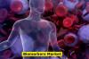 Photo for Biomarkers Market Business Analysis, Scope, Size, Trends, Demand, Overview, Forecast 2027