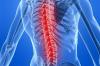 Photo for Global Spinal Surgery Market 2020 | Manufacturers, Regions, Type And Application, Forecast To 2025