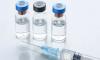 Photo for cyp26c1 antibody