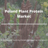 Photo for Comprehensive Report on Poland Plant Protein Market