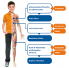 Photo for Duchenne Muscular Dystrophy Market | Global Forecast Report to 2023