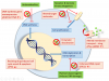 Photo for Global Breast Cancer Treatment Market to Record Significant Rise in Revenue Share Owing to the Augmenting Demand in COVID-19 Pandemic