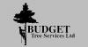 Photo for Budget Tree Services Ltd