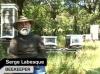 Photo for The Bee Whisperer - Life, Death, Swarms, and Honey
