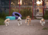 Photo for The Second Pup & Kitties Too