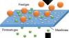 Photo for Global Membrane Separation Technology Market 2020 | Manufacturers Regions Type And Application Forecast To 2025