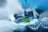 Photo for Global Biomarkers Market Research Report - Industry Analysis, Size, Share, Growth, Trends and Forecast Till 2026