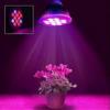 Photo for Global LED Grow Light Market 2020 | Manufacturers, Regions, Type And Application, Forecast To 2025
