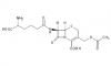 Photo for Global Cephalosporin Market 2020 | Manufacturers Regions Type And Application Forecast To 2025