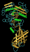 Photo for Global Lipase Market 2020 | Manufacturers, Regions, Type And Application, Forecast To 2025