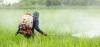 Photo for Global Liquid Fertilizers Market 2020 | Manufacturers, Regions, Type And Application, Forecast To 2025