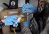 Photo for Burgeoning Demand for Biodetection  to Fuel Market Growth Thorough the COVID-19 Crisis Period