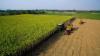 Photo for Agriculture Market Detailed Analysis Of Current Industry Growth 2020