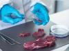 Photo for Global Meat Speciation Testing Market 2020 | Manufacturers, Regions, Type And Application, Forecast To 2025
