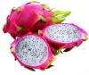 Photo for Global Pitaya Market 2020 | Manufacturers, Regions, Type And Application, Forecast To 2025