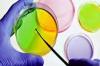 Photo for Global Microbianos Market 2020 | Manufacturers, Regions, Type And Application, Forecast To 2025