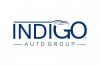 Photo for indiGO Auto Group