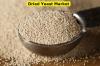 Photo for Dried Yeast Market Business Analysis, Scope, Size, Trends, Demand, Overview, Forecast 2028