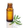 Photo for Global Eucalyptol Market 2020 | Manufacturers, Regions, Type and Application, Forecast to 2025