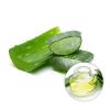 Photo for Global Aloe Vera Extracts Market Research Report - Industry Analysis, Size, Share, Growth, Trends and Forecast Till 2026