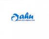 Photo for Oahu Swim with Dolphins Tour & Ticket