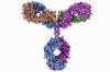 Photo for whole plasmid sequencing