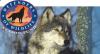 Photo for A Special Message from Rodger Schlickeisen, Defenders of Wildlife Action Fund: 2008 Election Wrap-Up [video]