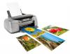 Photo for Global Photo Printing Market Research Report - Industry Analysis, Size, Share, Growth, Trends and Forecast Till 2026