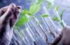 Photo for Global Biorenewable Chemicals Market 2020 | Manufacturers Regions Type And Application Forecast To 2025