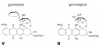 Photo for Global Pirarubicin Market 2020 | Manufacturers Regions Type And Application Forecast To 2025