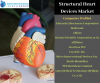Photo for Structural Heart Devices Market Analysis By Knowledge Sourcing Intelligence
