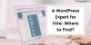 Photo for A WordPress Expert for Hire: Where to Find?