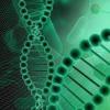 Photo for Global Microbiome Sequencing Services Market 2020 | Manufacturers, Regions, Type And Application, Forecast To 2025