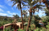 Photo for 5 Best Morocco Family Tours