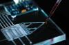 Photo for Global Microfluidics Market 2020 | Manufacturers, Regions, Type And Application, Forecast To 2025
