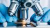 Photo for Global Microscopy Market 2020 | Manufacturers, Regions, Type And Application, Forecast To 2025