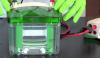 Photo for Global Western Blotting Market Research Report - Industry Analysis, Size, Share, Growth, Trends and Forecast Till 2026