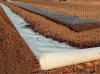 Photo for Global Reinforcement Geosynthetics Market 2020 | Manufacturers, Regions, Type and Application, Forecast to 2025