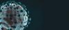 Photo for Global Covid-19 Therapeutic Market 2020 | Manufacturers, Regions, Type and Application, Forecast to 2025