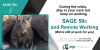 Photo for With Remote Working, use Sage 50c to manage your business while staying safe in your cave