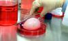Photo for Global Regenerative Medicines Market Research Report - Industry Analysis, Size, Share, Growth, Trends and Forecast Till 2026