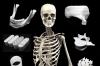 Photo for Global Ceramics Biomaterials Market Research Report - Industry Analysis, Size, Share, Growth, Trends and Forecast Till 2026