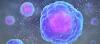 Photo for Global Cytokines Based Therapies and Inhibitors Market Research Report - Industry Analysis, Size, Share, Growth, Trends and Forecast Till 2026