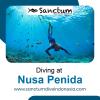 Photo for Diving at Nusa Penida